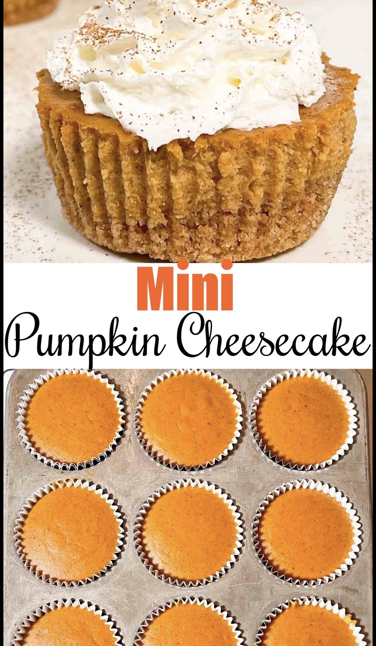 Mini Pumpkin Cheesecakes