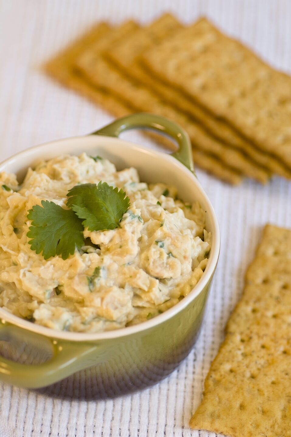Chunky Garbanzo Bean Dip