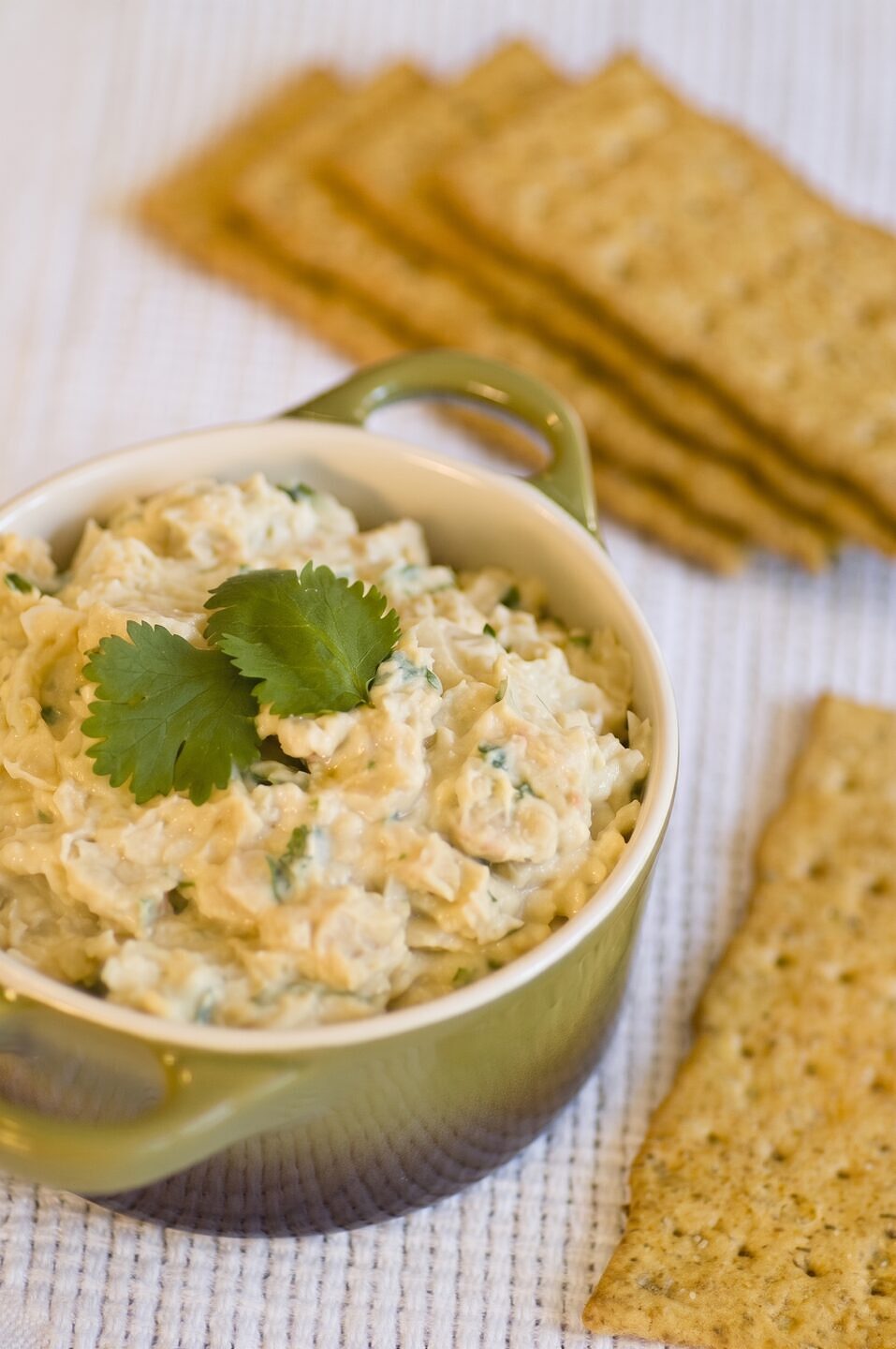 Fiesta Hummus