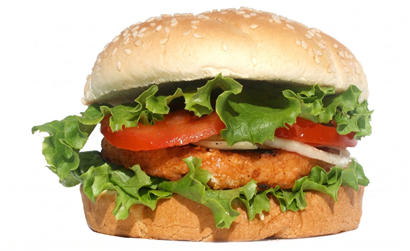 Salmon Patties