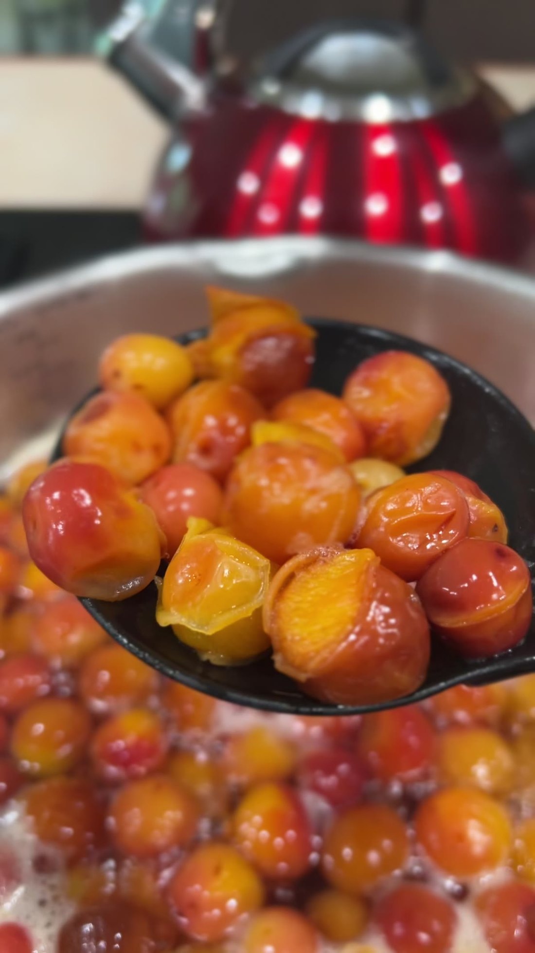 A pot of sand plums cooking down on the stove
