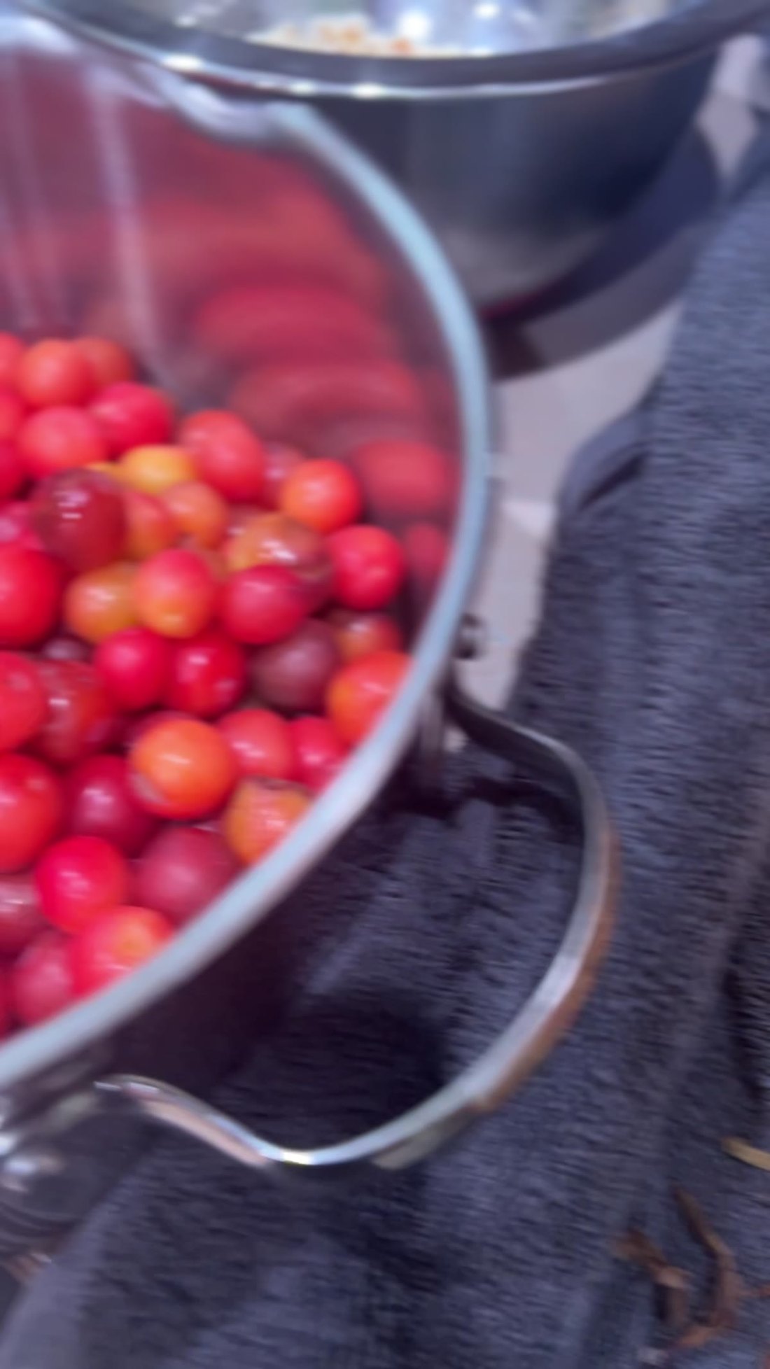 Washed sand plums in a colander